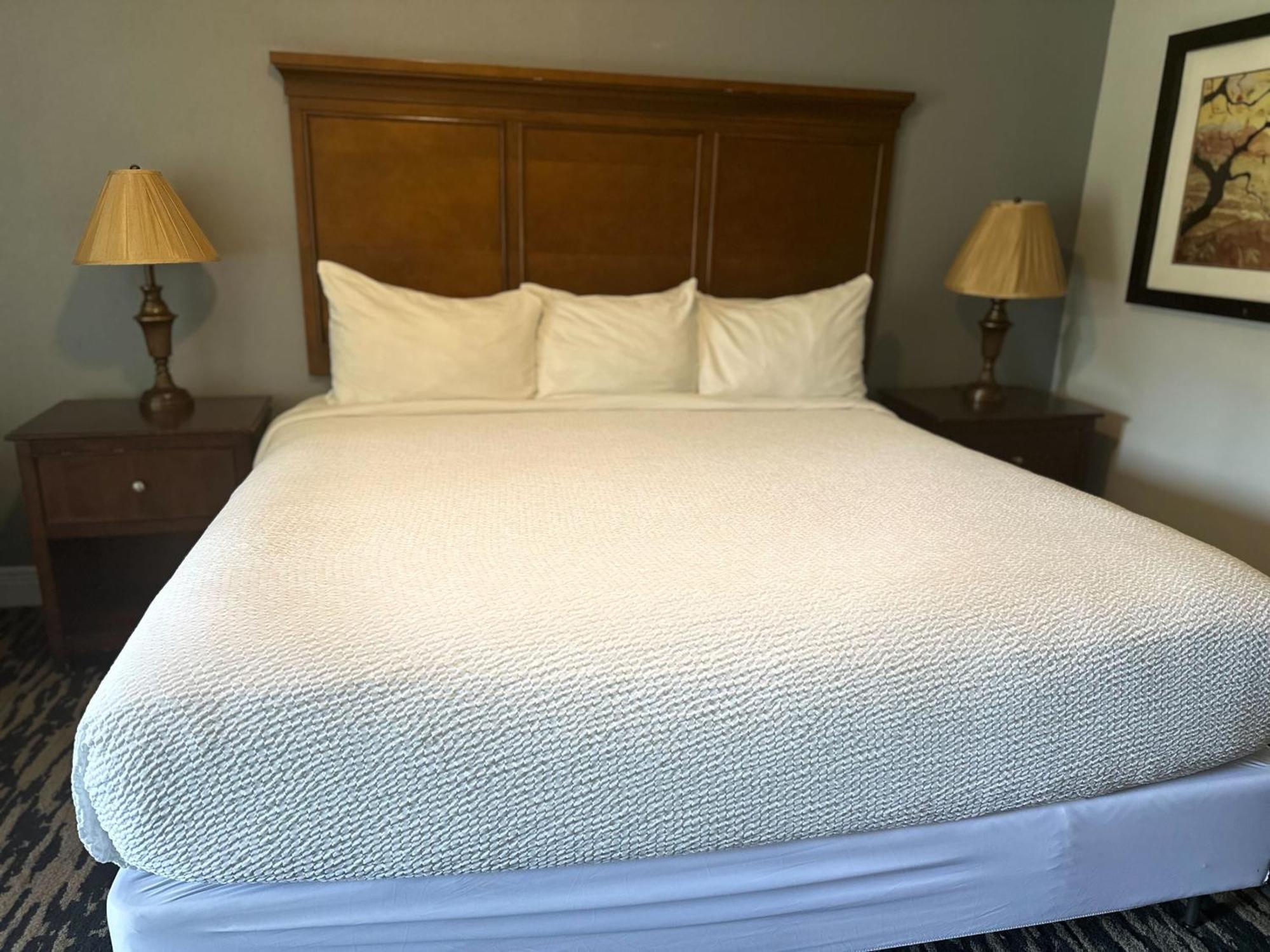 Tremont Lodge & Resort Townsend Bagian luar foto