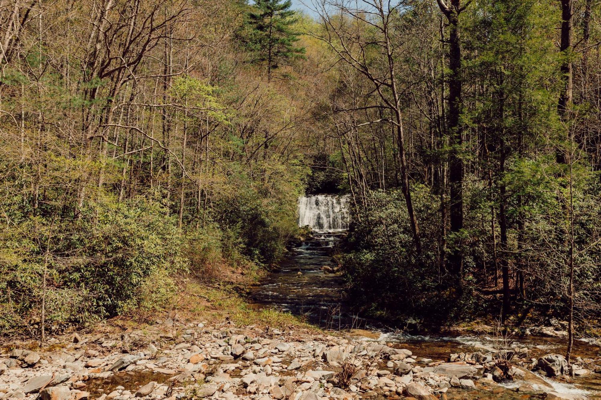 Tremont Lodge & Resort Townsend Bagian luar foto